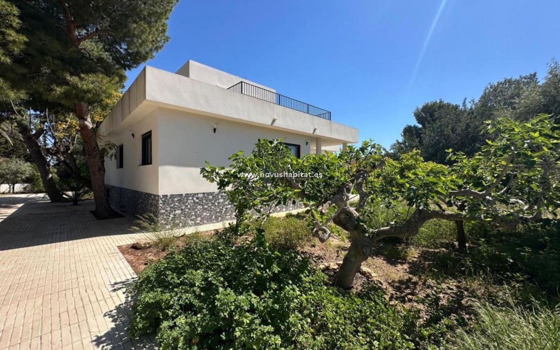 Neue Gebäude - Houses - San Vicente del Raspeig