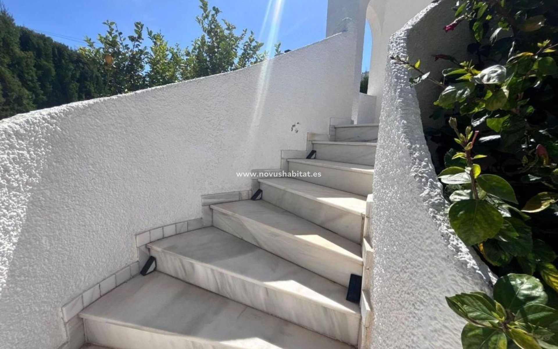 Neue Gebäude - Houses - Torrevieja