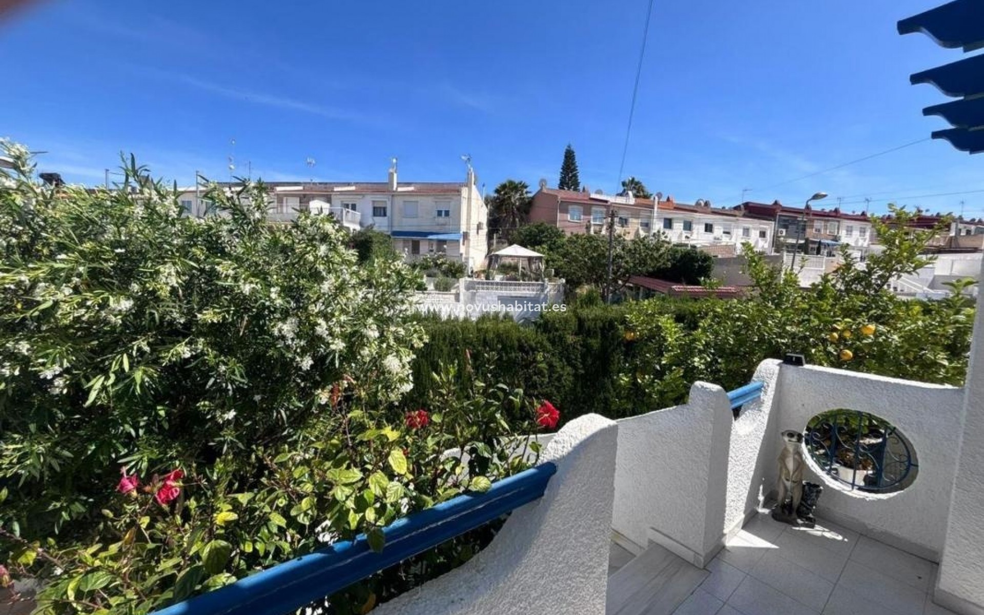 Neue Gebäude - Houses - Torrevieja