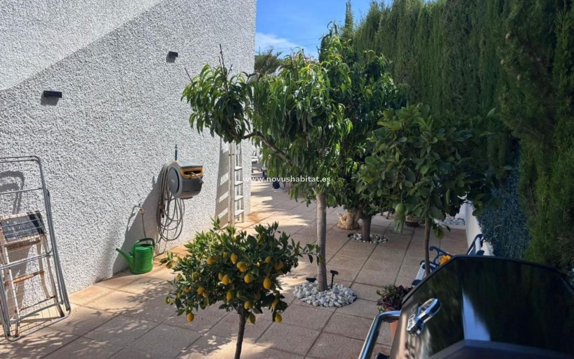 Neue Gebäude - Houses - Torrevieja