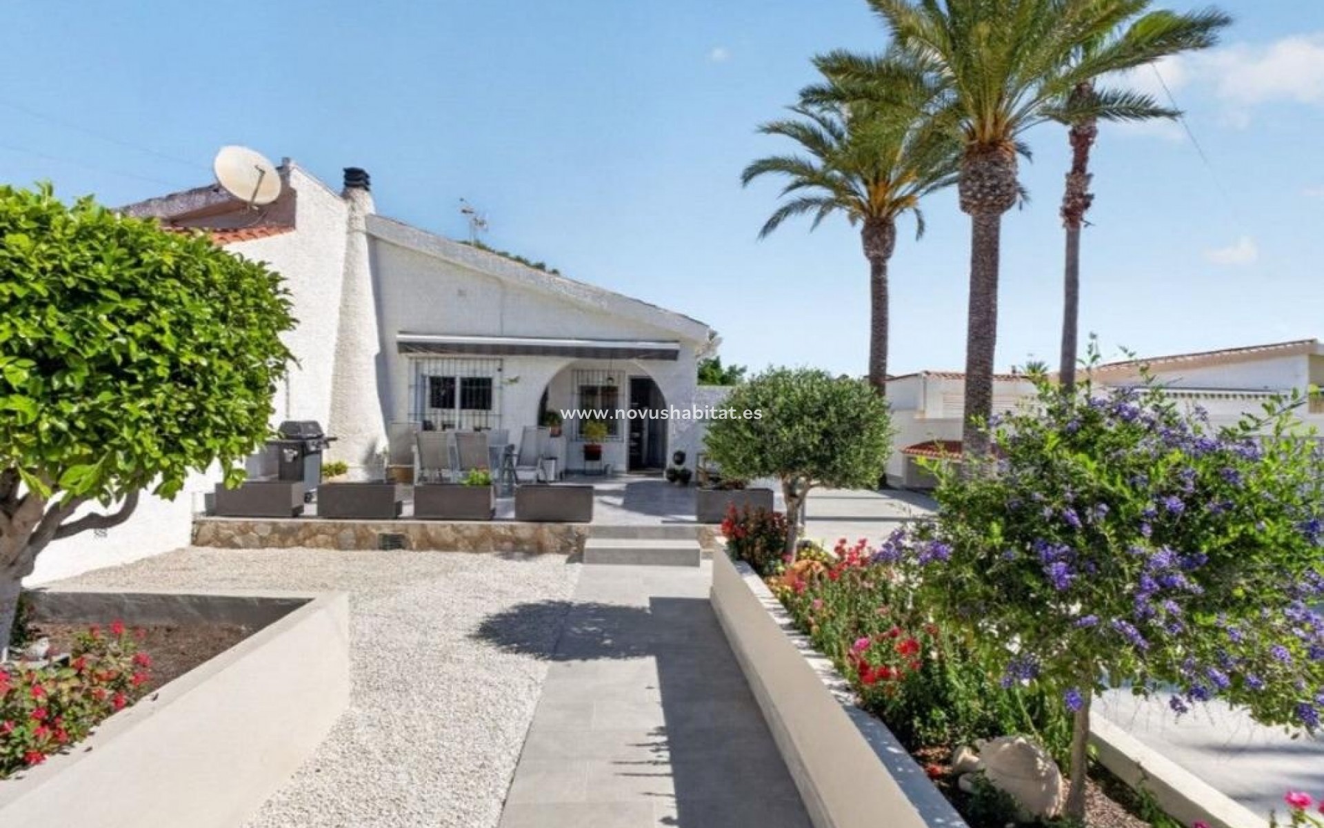 Neue Gebäude - Houses - Torrevieja