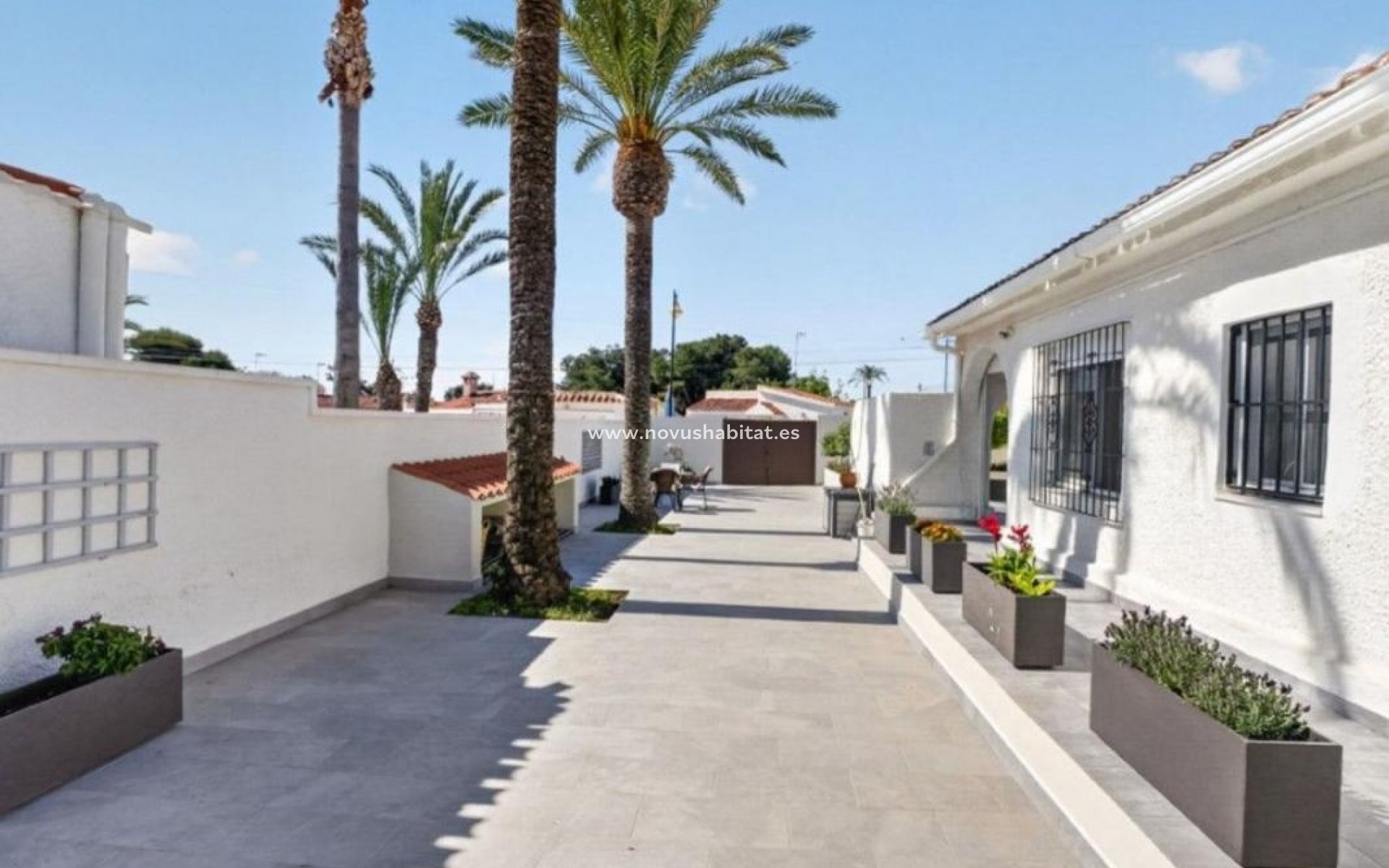Neue Gebäude - Houses - Torrevieja
