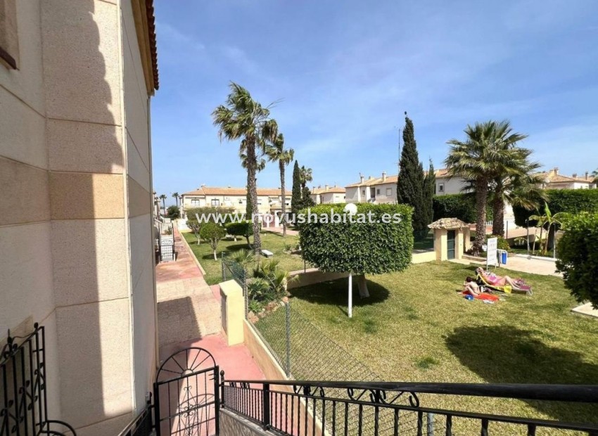 Neue Gebäude - Houses - Torrevieja