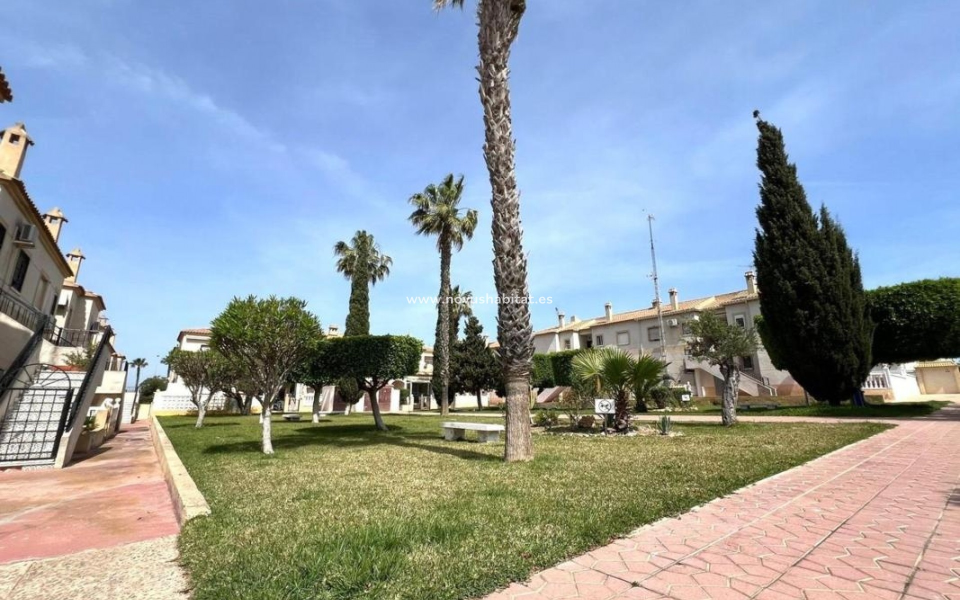 Neue Gebäude - Houses - Torrevieja
