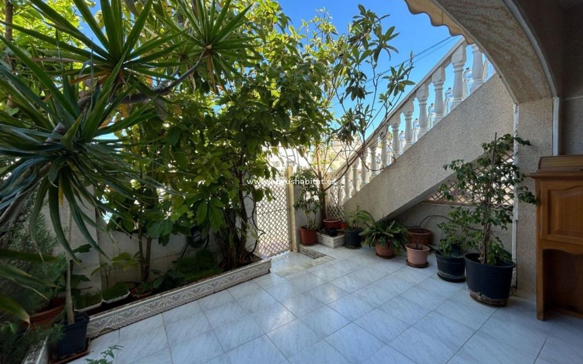 Neue Gebäude - Houses - Torrevieja