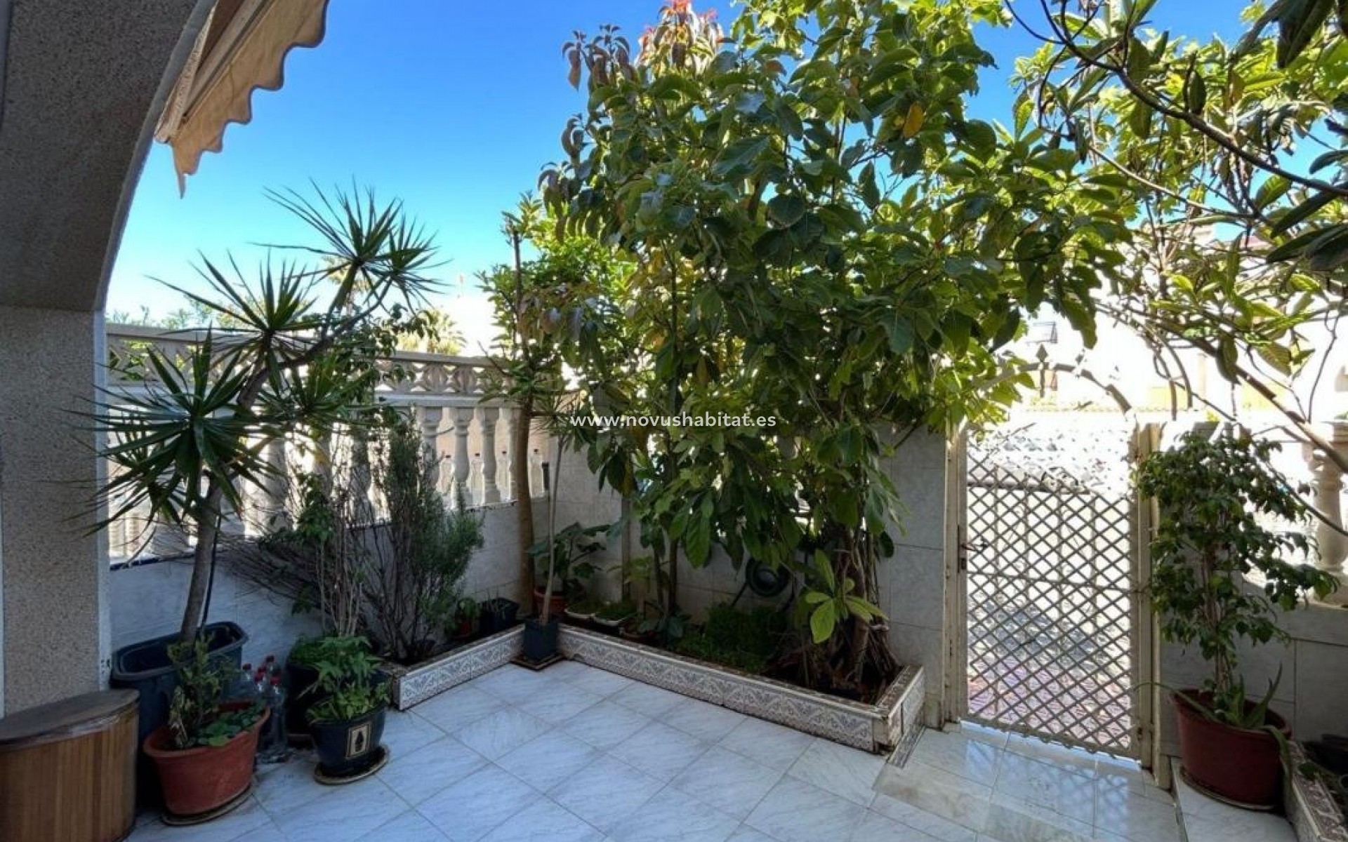 Neue Gebäude - Houses - Torrevieja