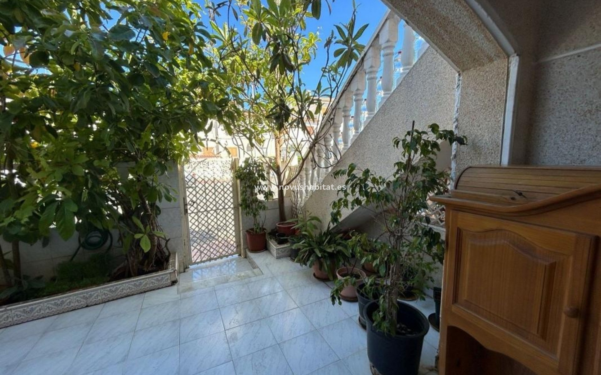 Neue Gebäude - Houses - Torrevieja