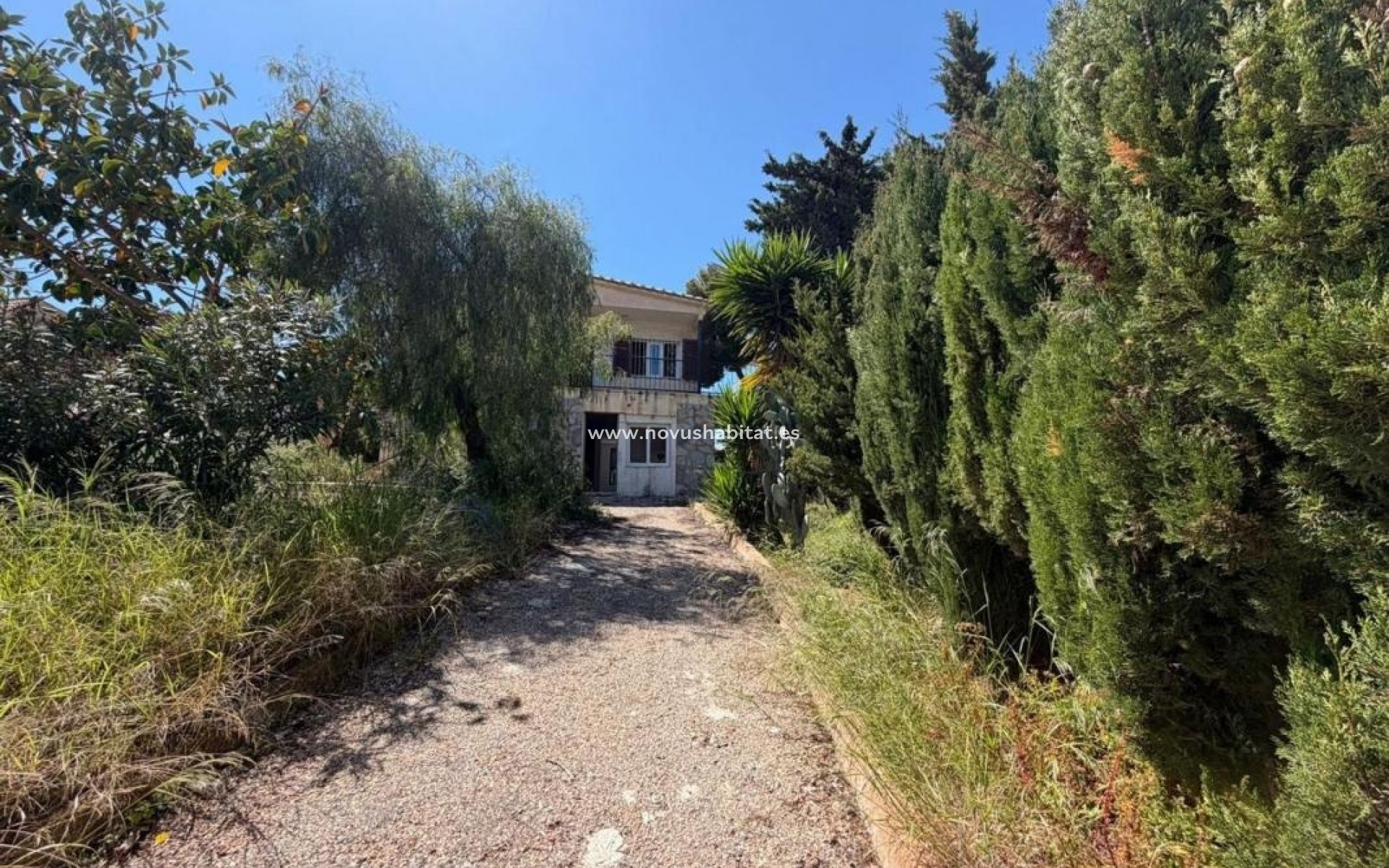 Neue Gebäude - Houses - Torrevieja