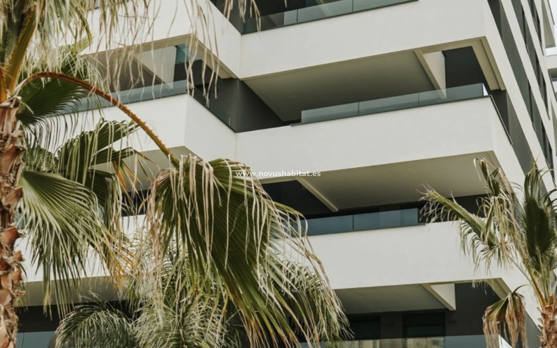Neue Gebäude - Penthouses - Calpe
