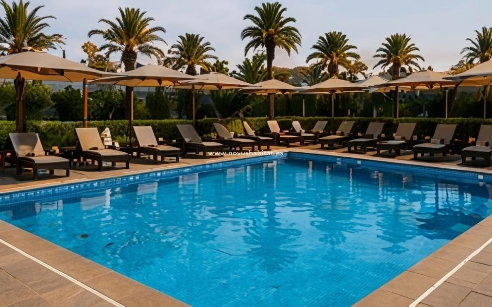 Neue Gebäude - Penthouses - Los Alcázares