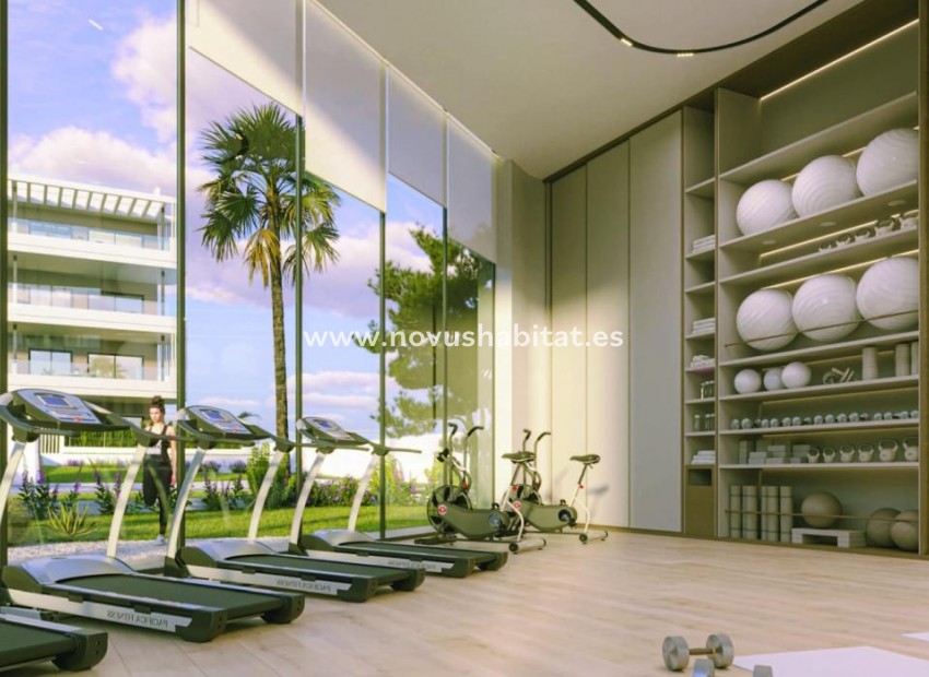 Neue Gebäude - Penthouses - Torrevieja