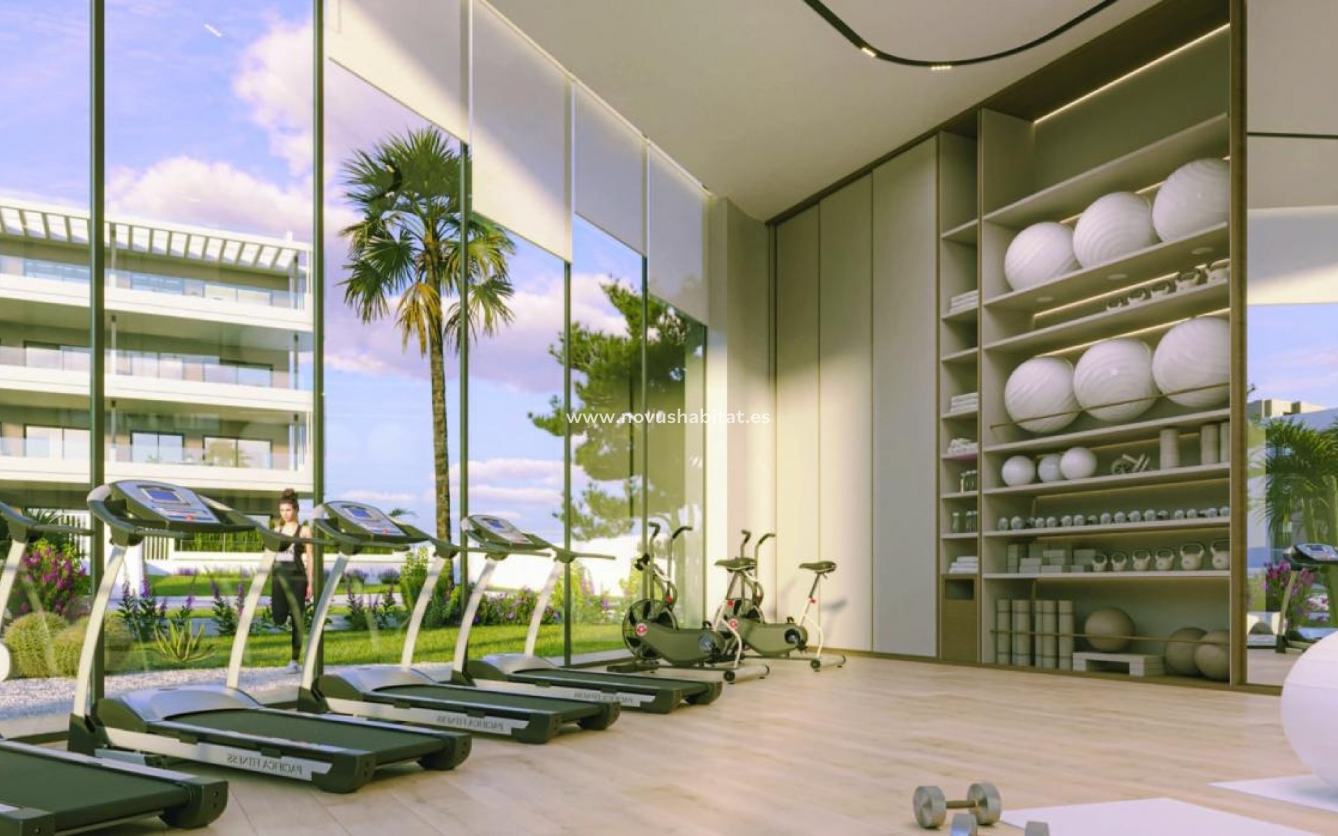 Neue Gebäude - Penthouses - Torrevieja