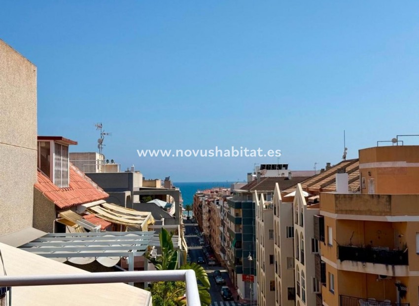 Neue Gebäude - Penthouses - Torrevieja