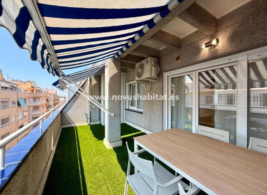 Neue Gebäude - Penthouses - Torrevieja