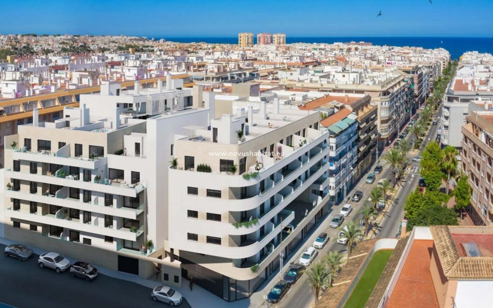 Neue Gebäude - Penthouses - Torrevieja