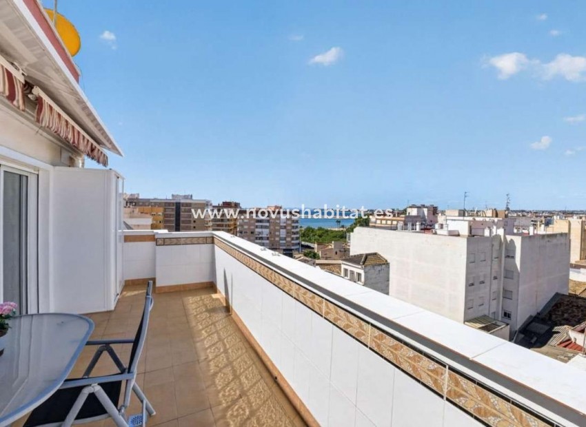 Neue Gebäude - Penthouses - Torrevieja