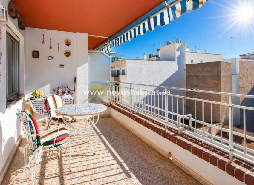 Neue Gebäude - Penthouses - Torrevieja