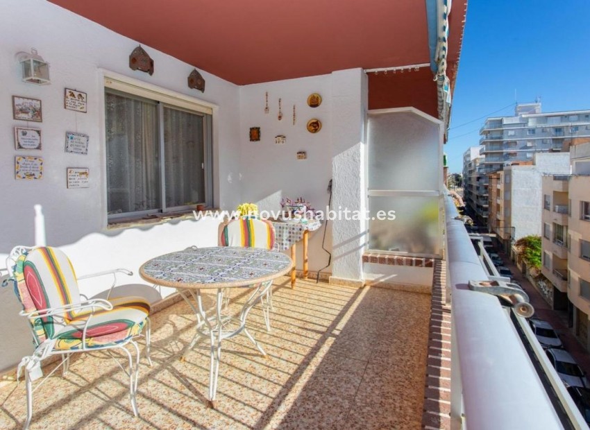 Neue Gebäude - Penthouses - Torrevieja