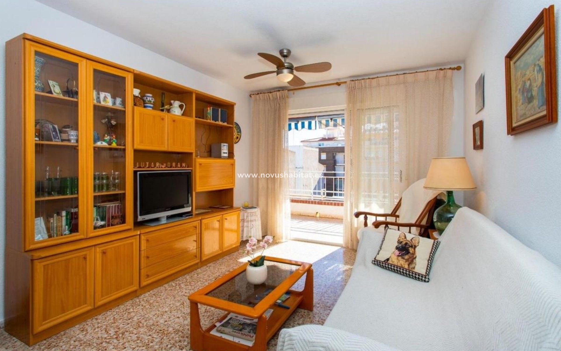 Neue Gebäude - Penthouses - Torrevieja