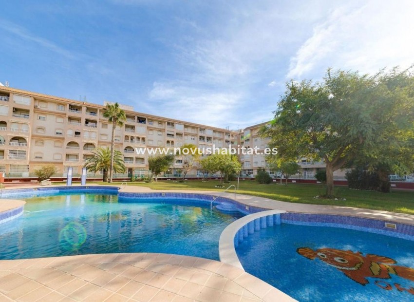 Neue Gebäude - Penthouses - Torrevieja