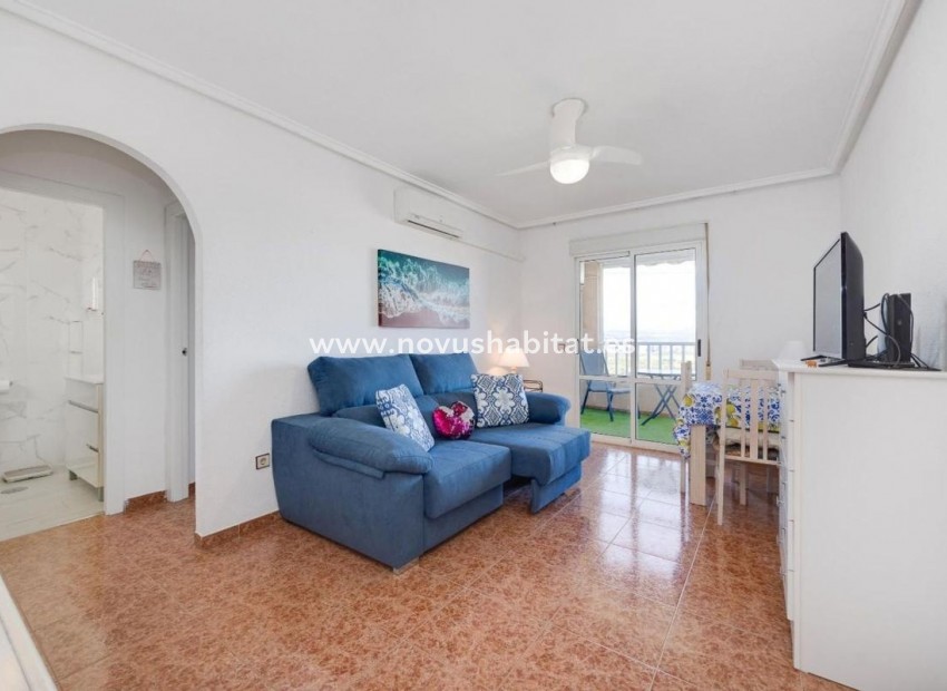 Neue Gebäude - Penthouses - Torrevieja