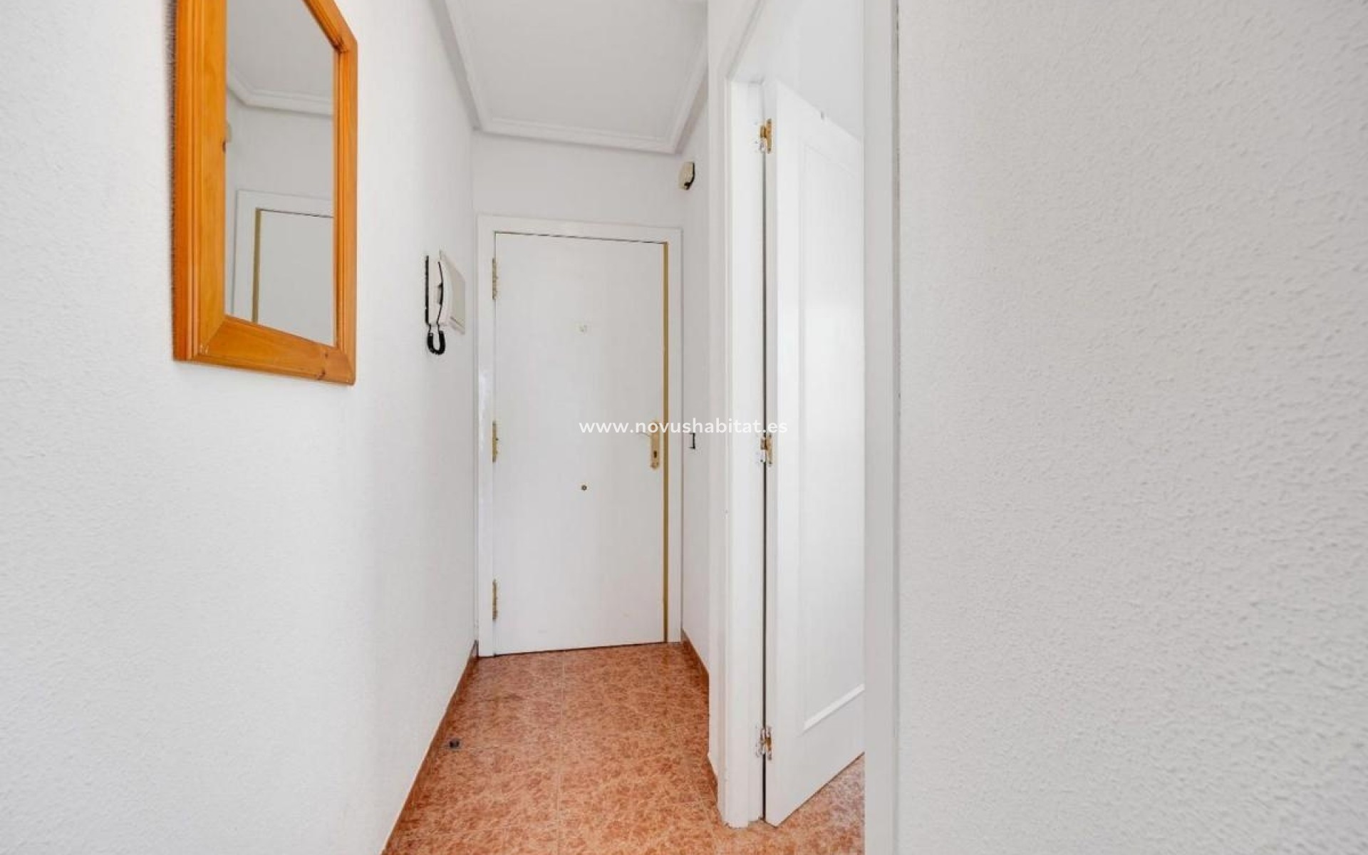 Neue Gebäude - Penthouses - Torrevieja