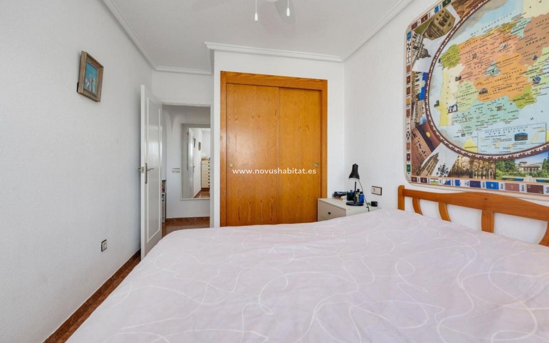 Neue Gebäude - Penthouses - Torrevieja
