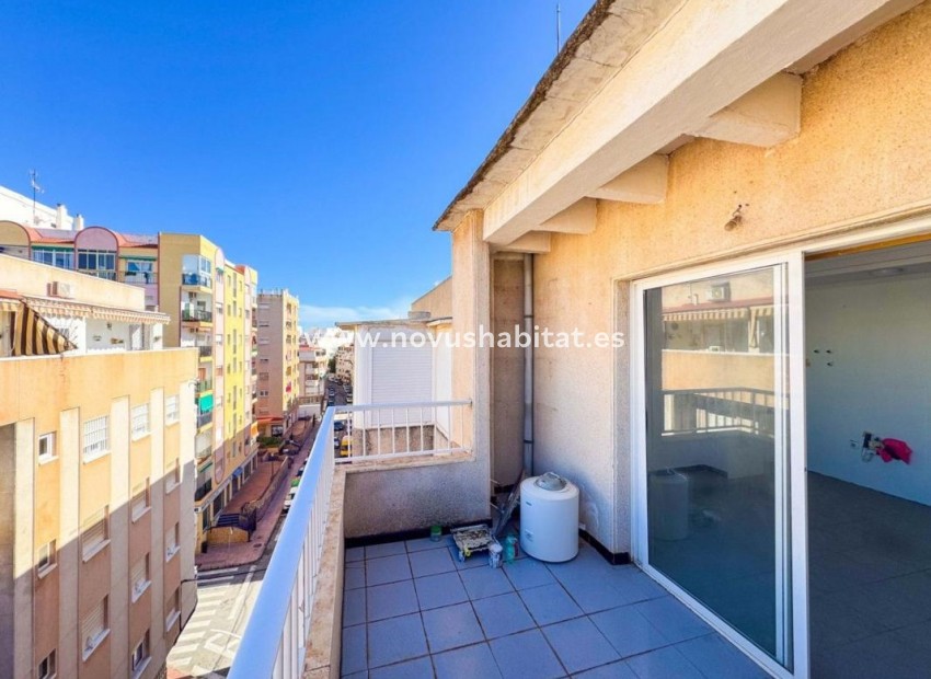 Neue Gebäude - Penthouses - Torrevieja