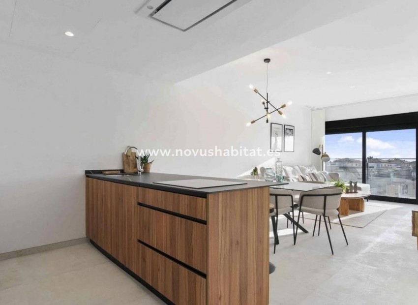 Neue Gebäude - Penthouses - Torrevieja