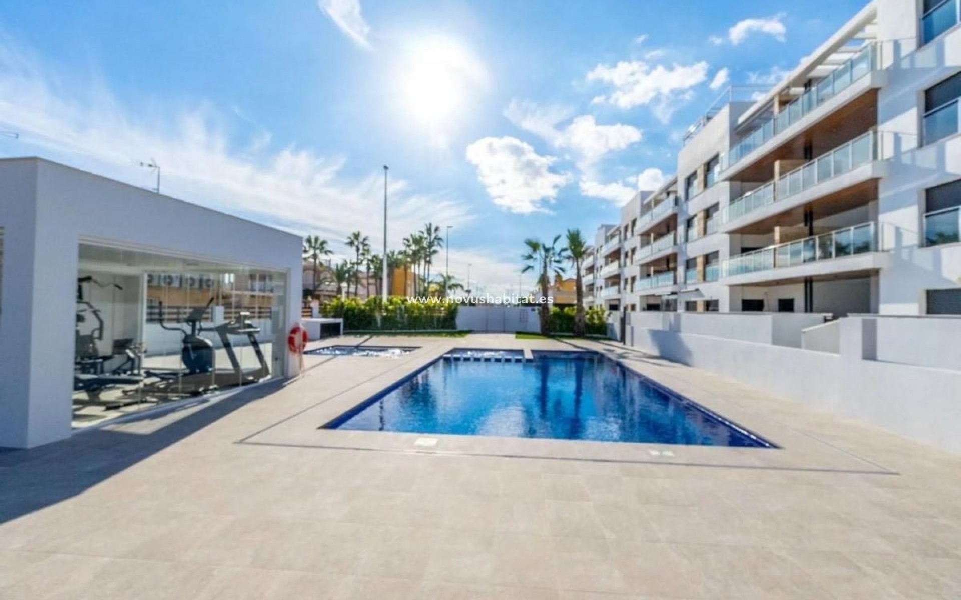 Neue Gebäude - Penthouses - Torrevieja