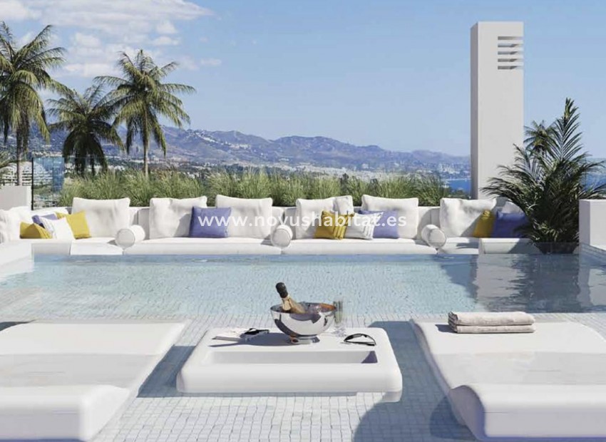 Neue Gebäude - Penthouses - Torrevieja