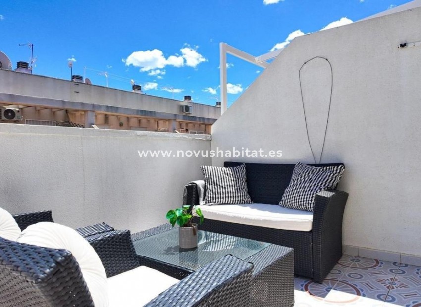 Neue Gebäude - Penthouses - Torrevieja