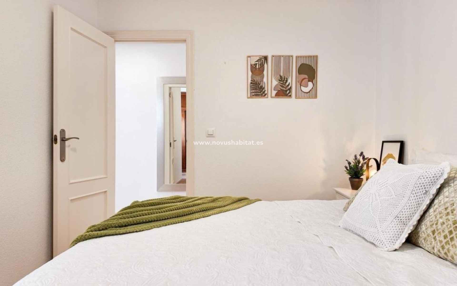 Neue Gebäude - Penthouses - Torrevieja