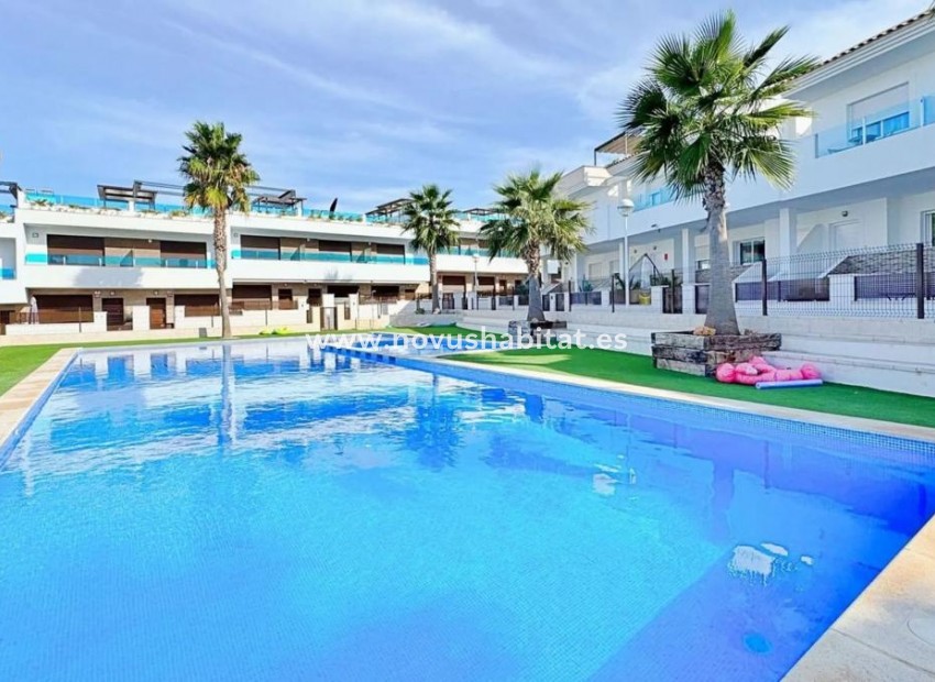 Neue Gebäude - Terraced houses - Torrevieja