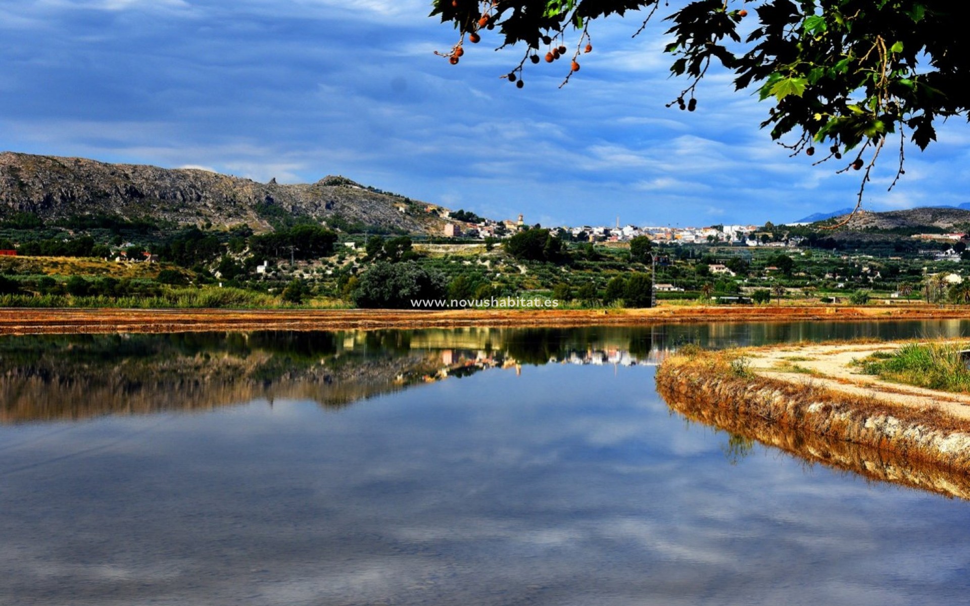 Neue Gebäude - Villa - Calasparra - Coto Riñales