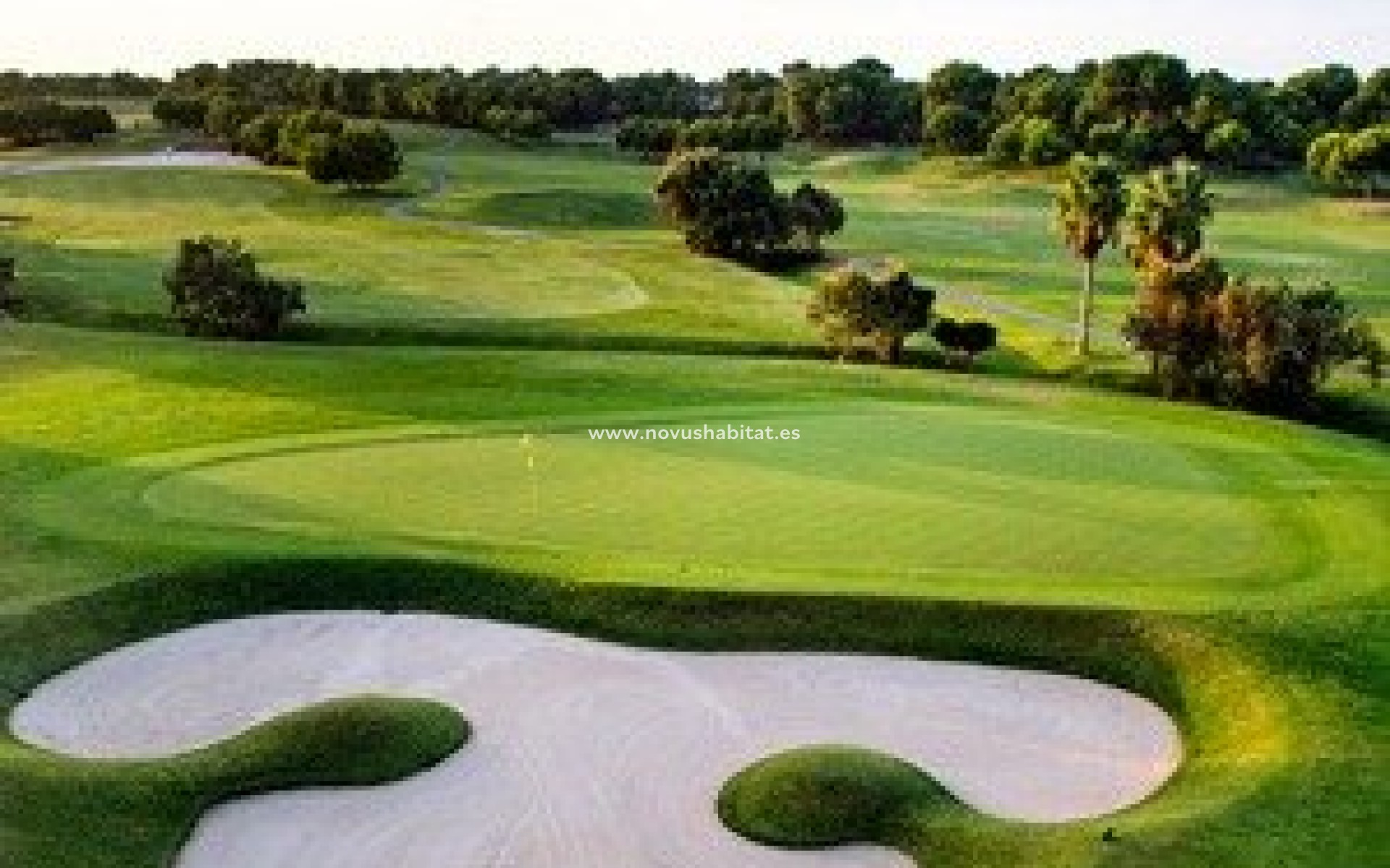 Neue Gebäude - Villa - Pilar de la Horadada - Lo Romero Golf