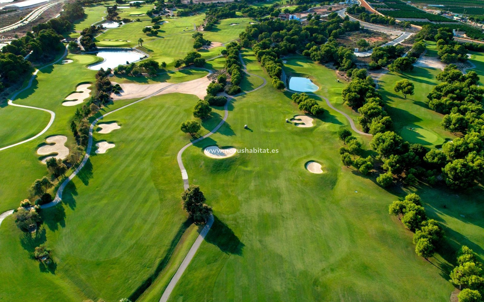 Neue Gebäude - Villa - Pilar de la Horadada - Lo Romero Golf