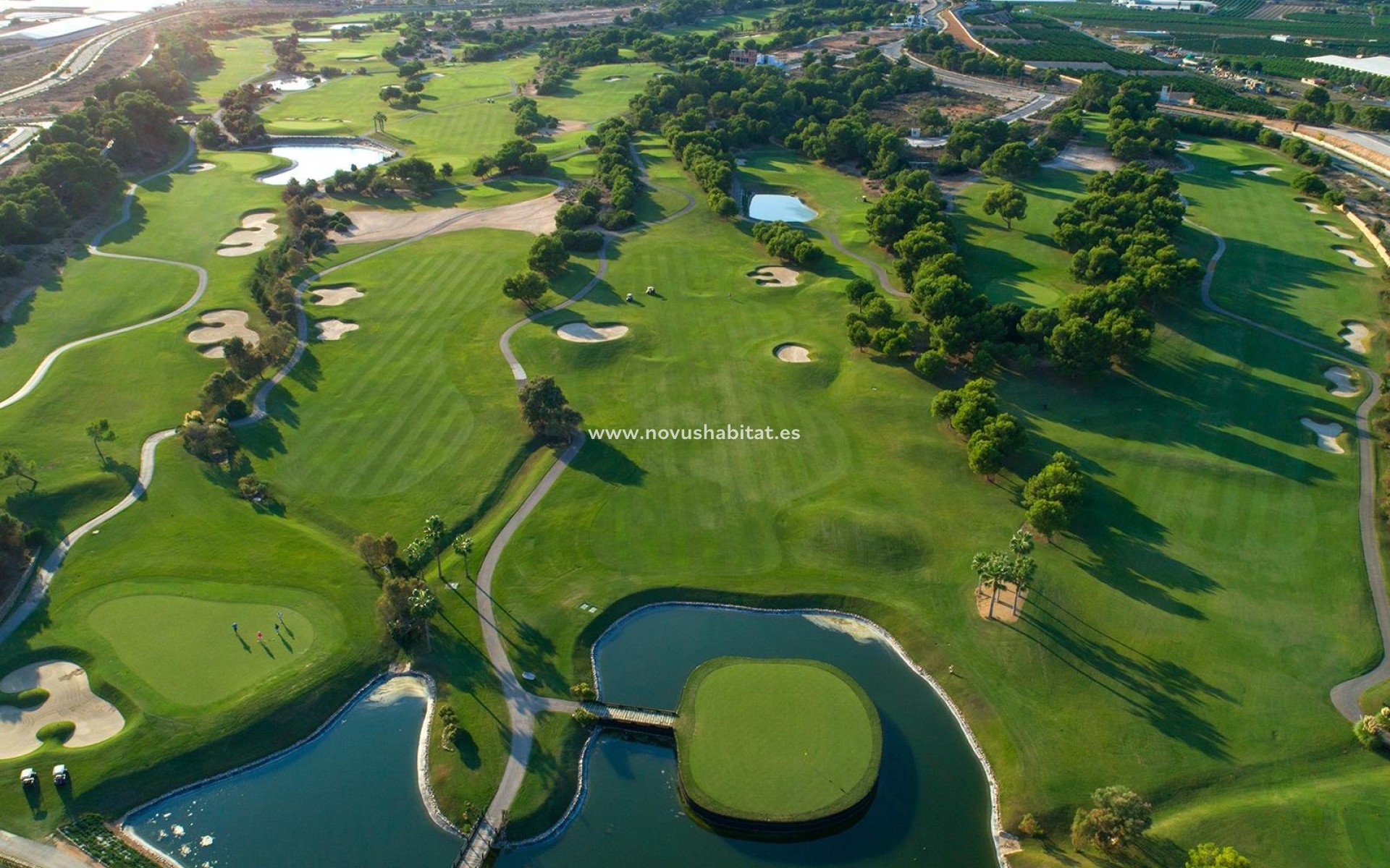 Neue Gebäude - Villa - Pilar de la Horadada - Lo Romero Golf