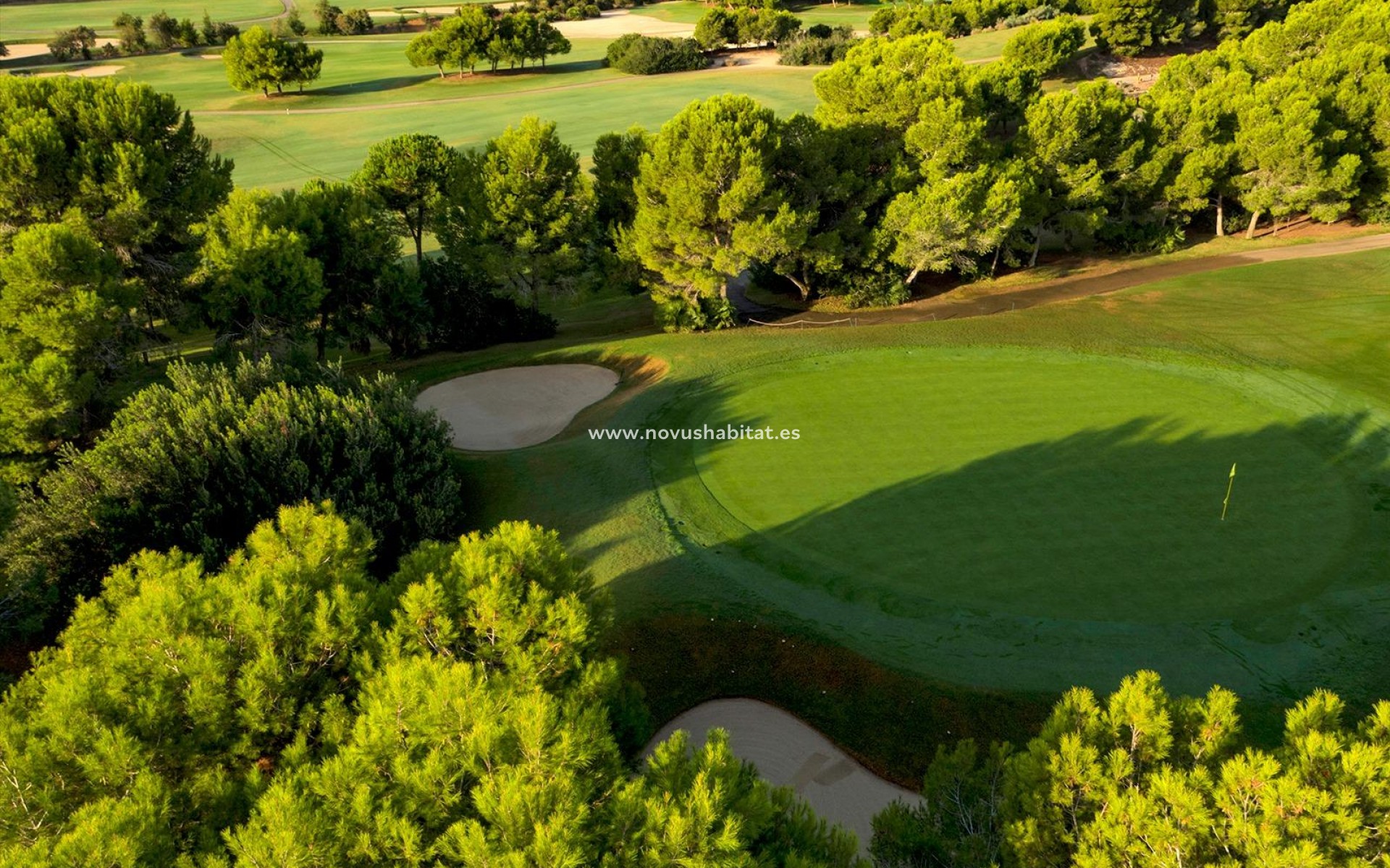 Neue Gebäude - Villa - Pilar de la Horadada - Lo Romero Golf