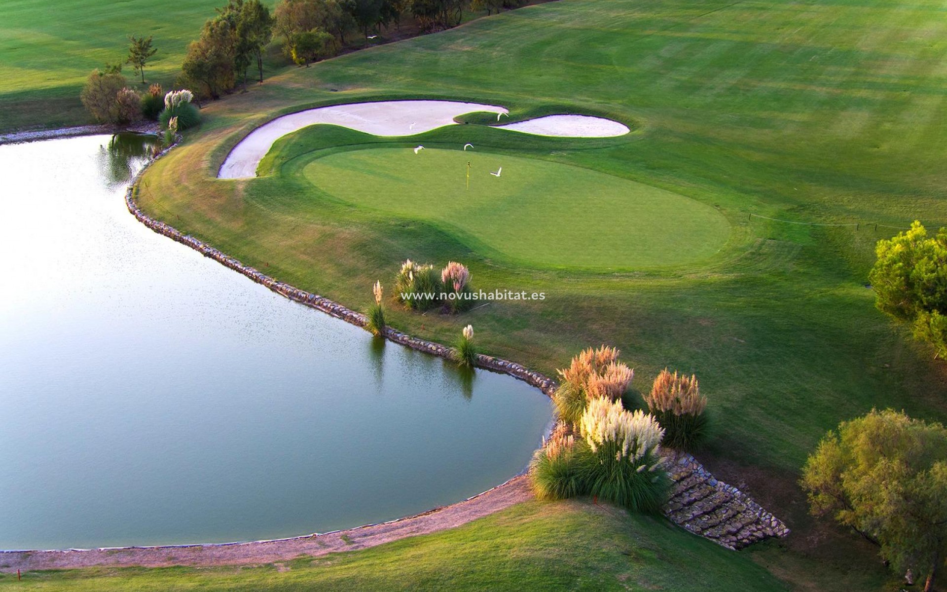 Neue Gebäude - Villa - Pilar de la Horadada - Lo Romero Golf