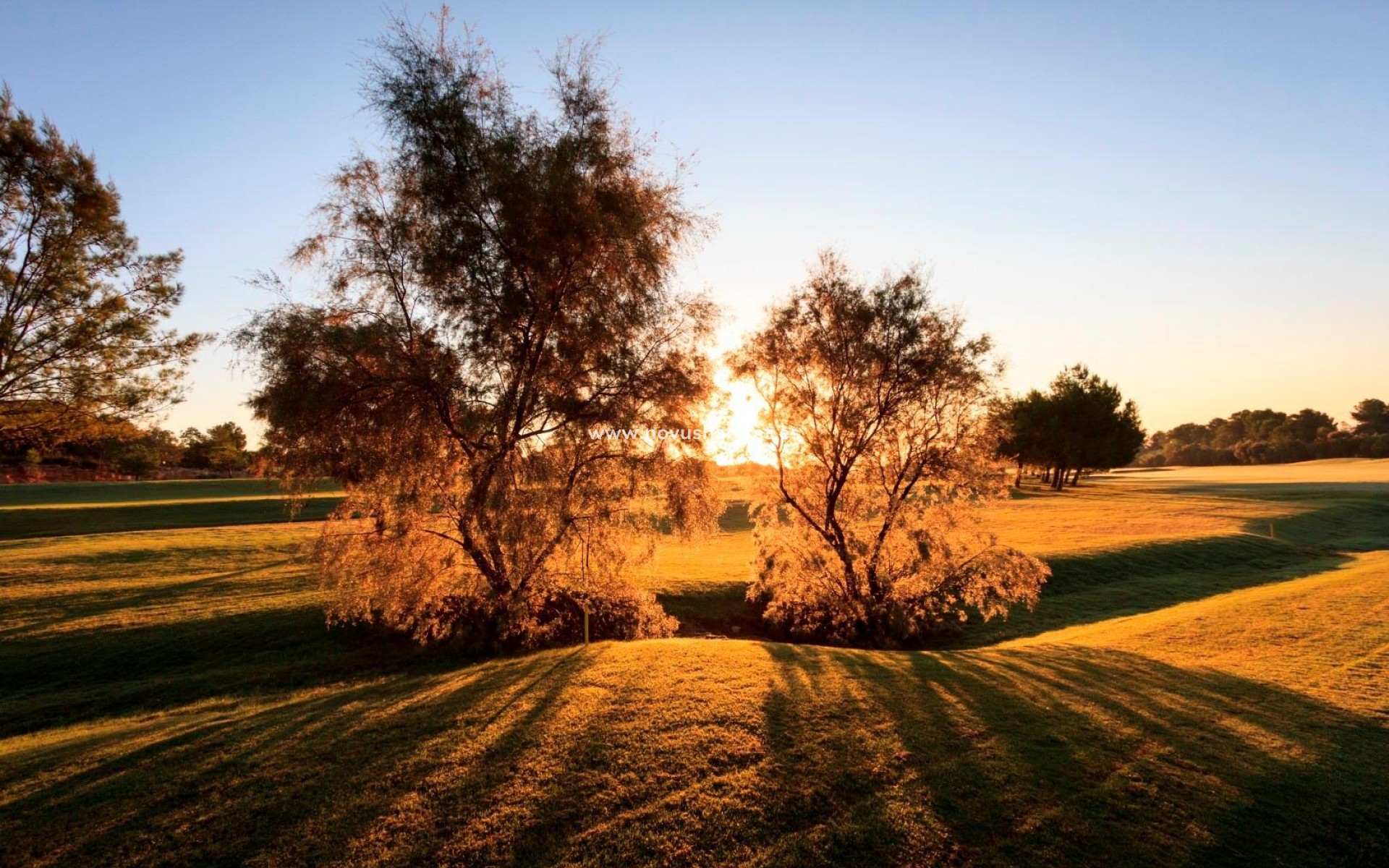 Neue Gebäude - Villa - Pilar de la Horadada - Lo Romero Golf