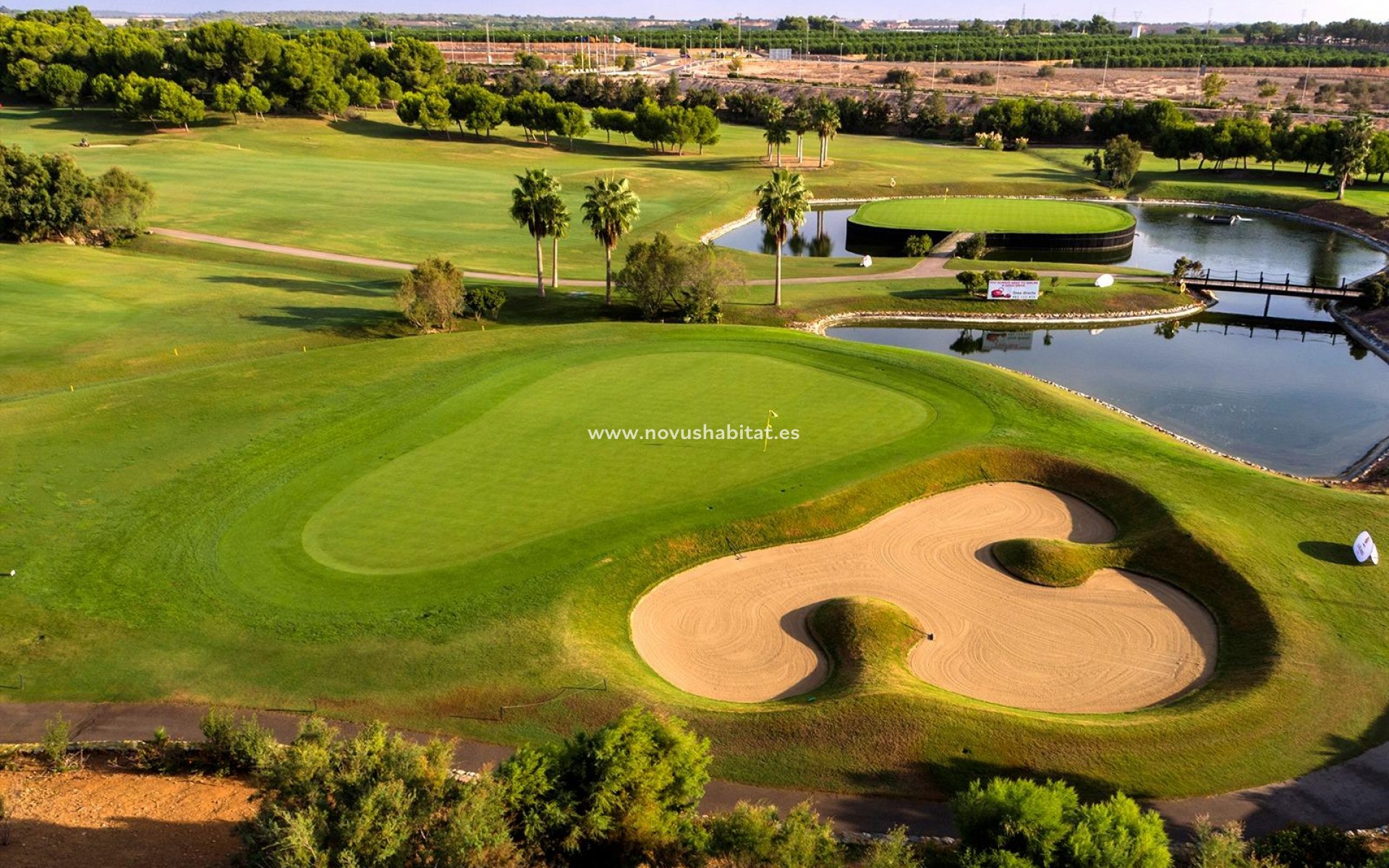 Neue Gebäude - Villa - Pilar de la Horadada - Lo Romero Golf