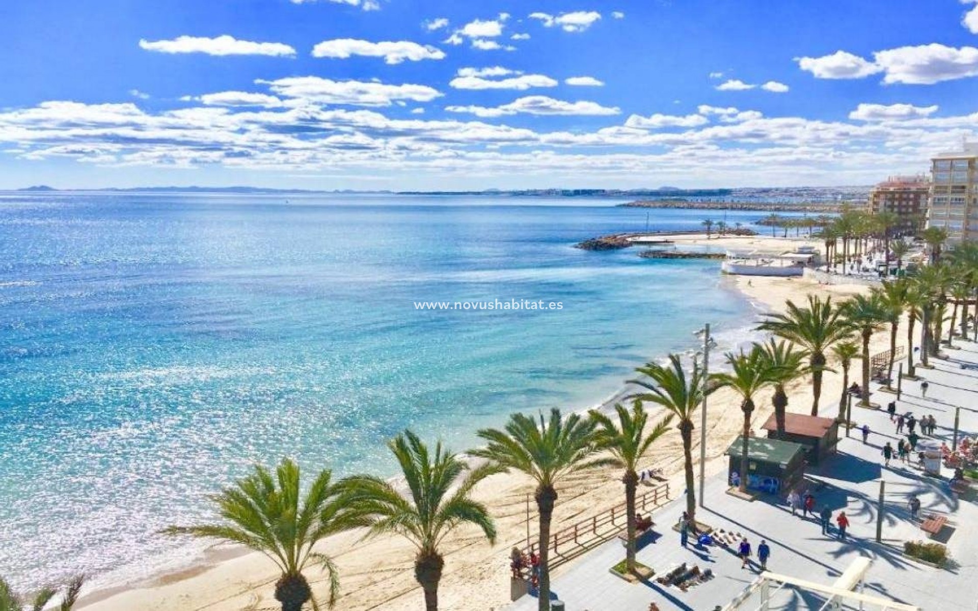 Neue Gebäude - Villa - Torrevieja - Lago Jardin