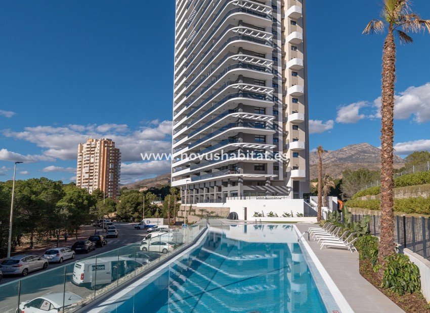 Neue Gebäude - Wohnung - Benidorm - Poniente