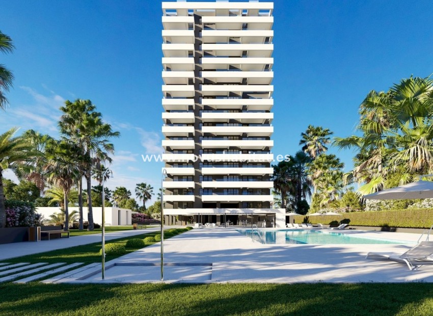 Neue Gebäude - Wohnung - Calpe - Playa Arenal-bol