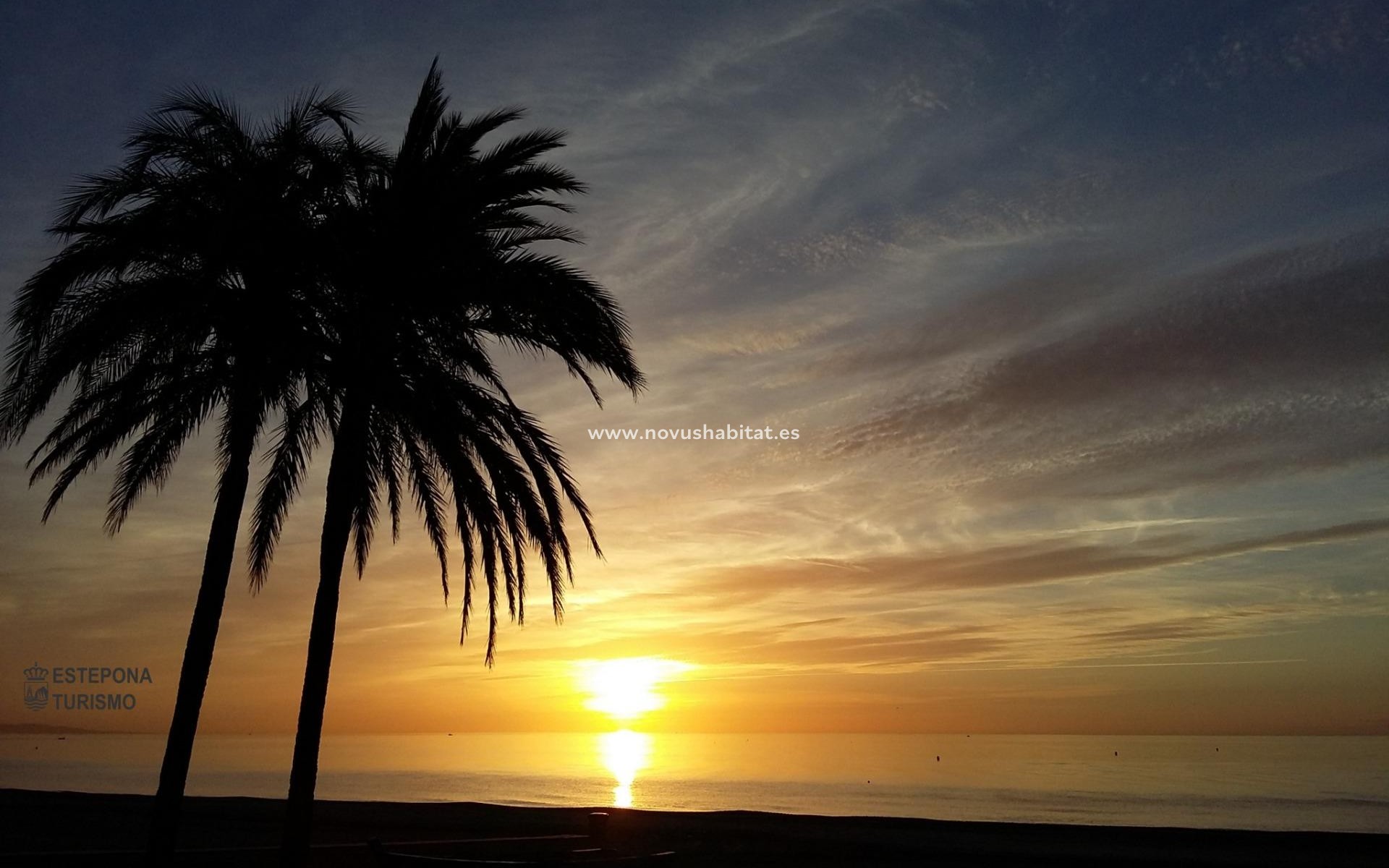 Neue Gebäude - Wohnung - Estepona - Buenas Noches