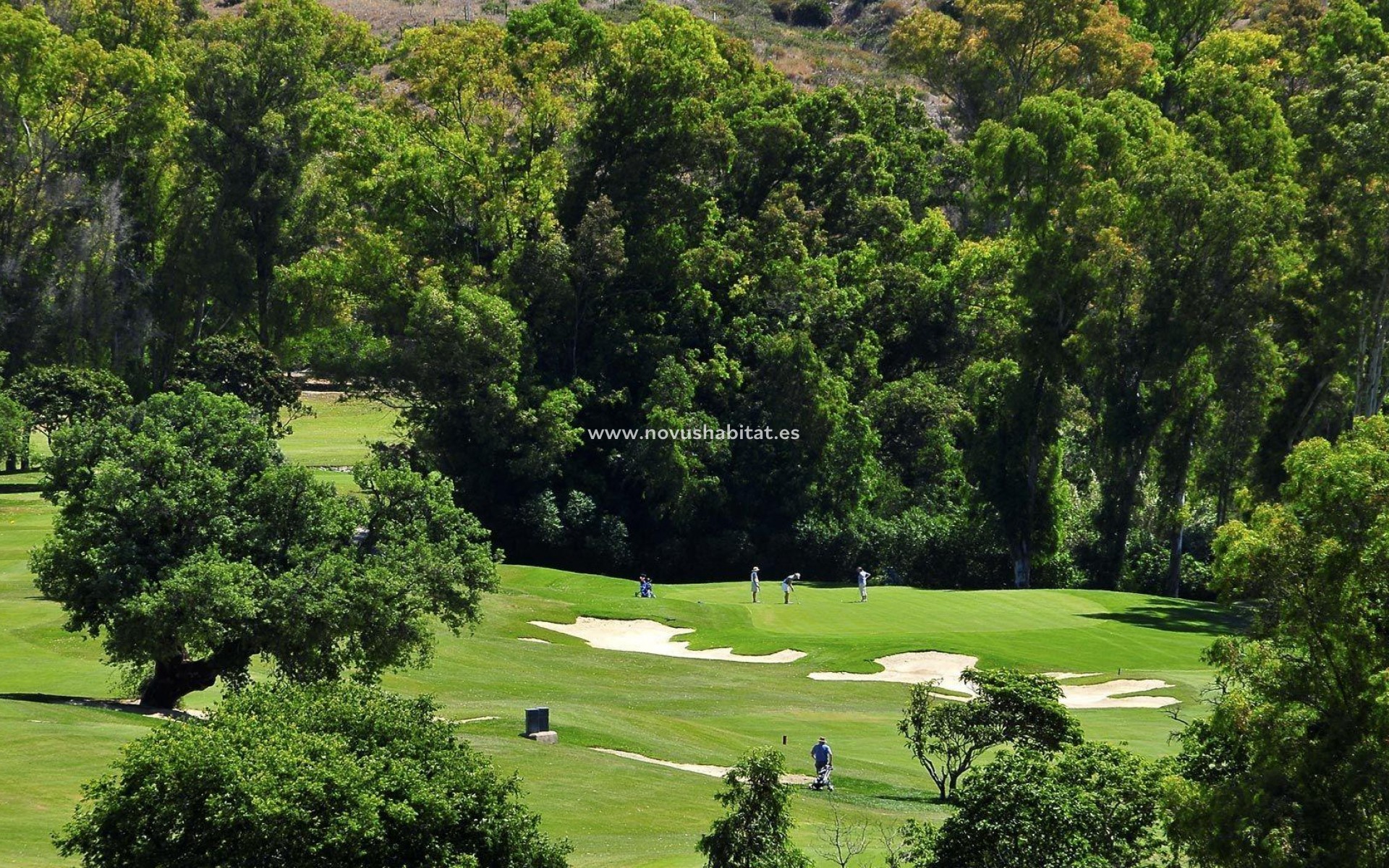 Neue Gebäude - Wohnung - Mijas - Mijas Golf