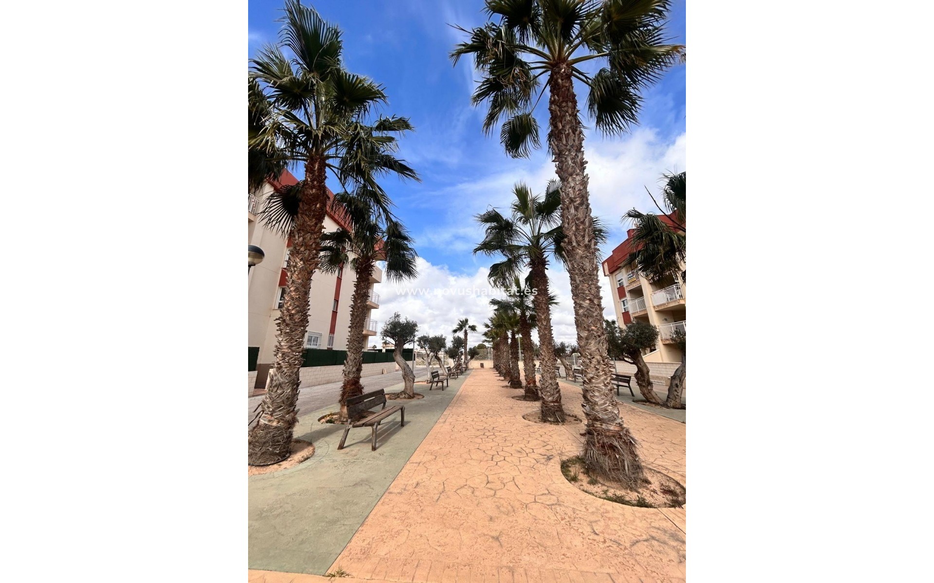 Neue Gebäude - Wohnung - Orihuela Costa