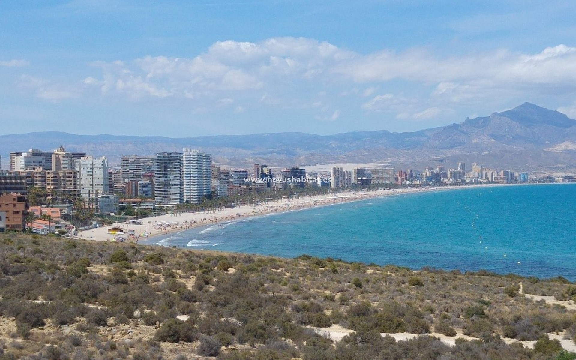 Neue Gebäude - Wohnung - San Juan de Alicante - Franc Espinós