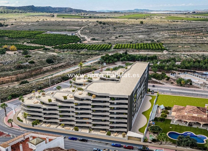 Neue Gebäude - Wohnung - San Miguel de Salinas
